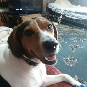 Meet your Posher, Selene